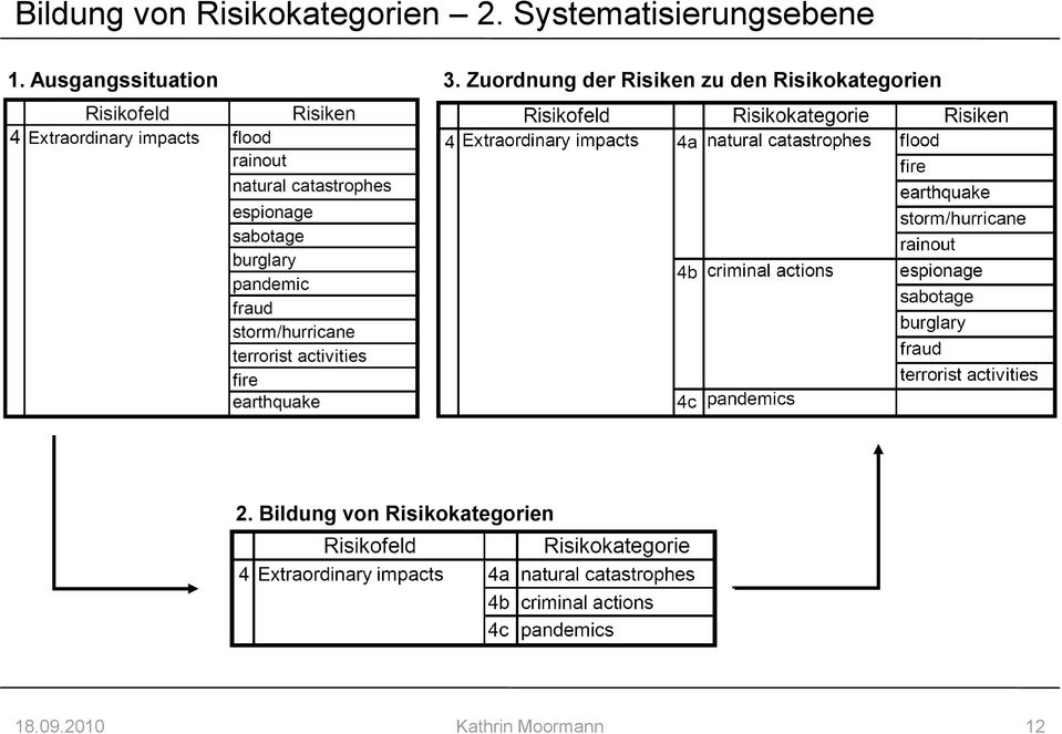 Zuordnung der Risiken zu den Risikokategorien