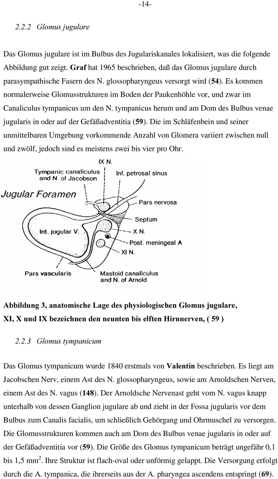 Es kommen normalerweise Glomusstrukturen im Boden der Paukenhöhle vor, und zwar im Canaliculus tympanicus um den N.