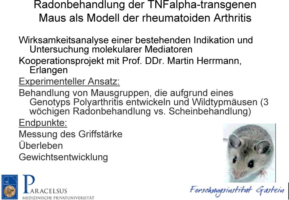 Martin Herrmann, Erlangen Experimenteller Ansatz: Behandlung von Mausgruppen, die aufgrund eines Genotyps