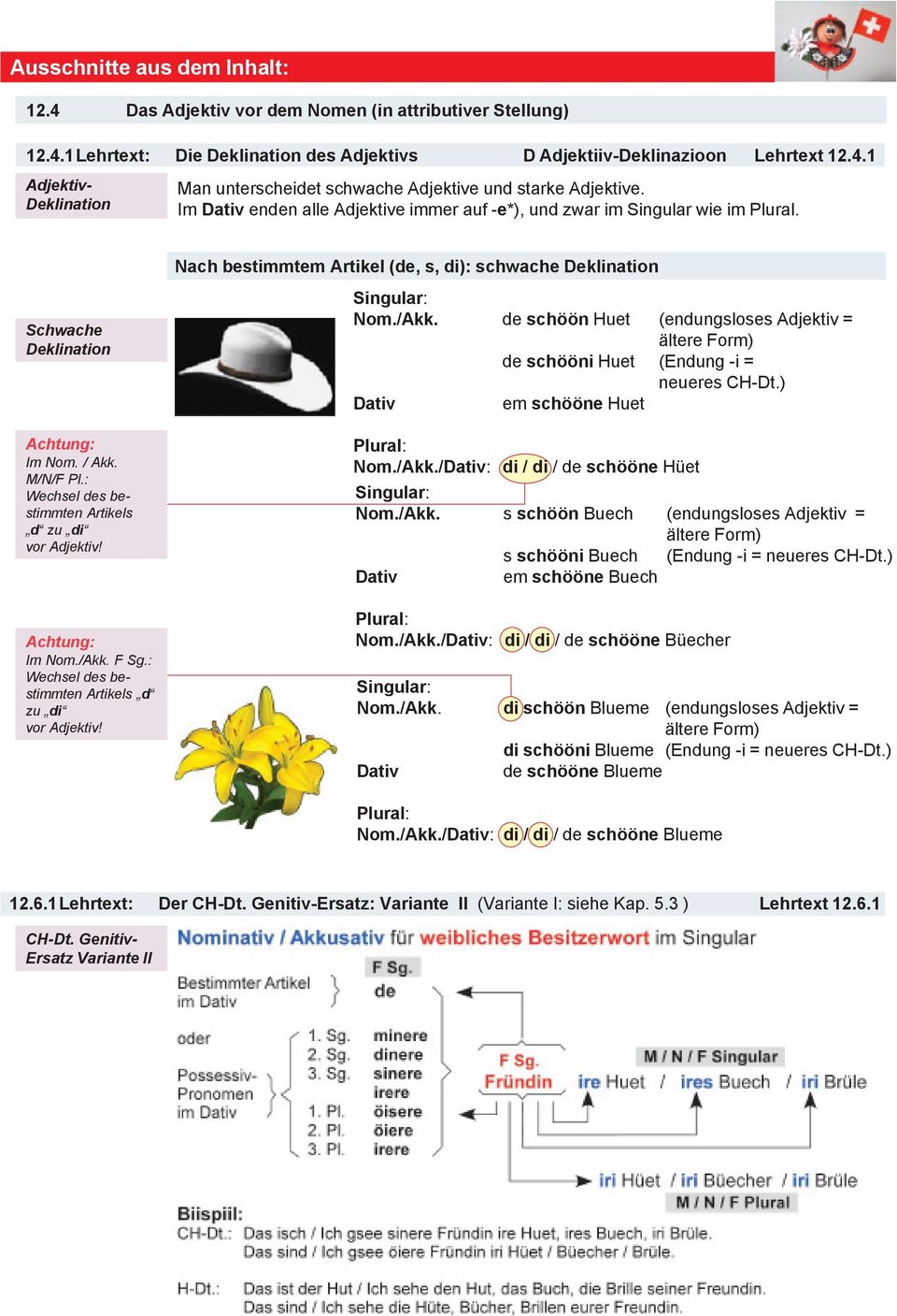 ) Dv m öö H P: Nom./Akk./Dv: / / öö Hü S: Nom./Akk. öö B (o Ajkv = ä Fom) öö B (E - = CH-D.) Dv m öö B P: Nom./Akk./Dv: / / öö Bü S: Nom./Akk. öö Bm (o Ajkv = ä Fom) öö Bm (E - = CH-D.