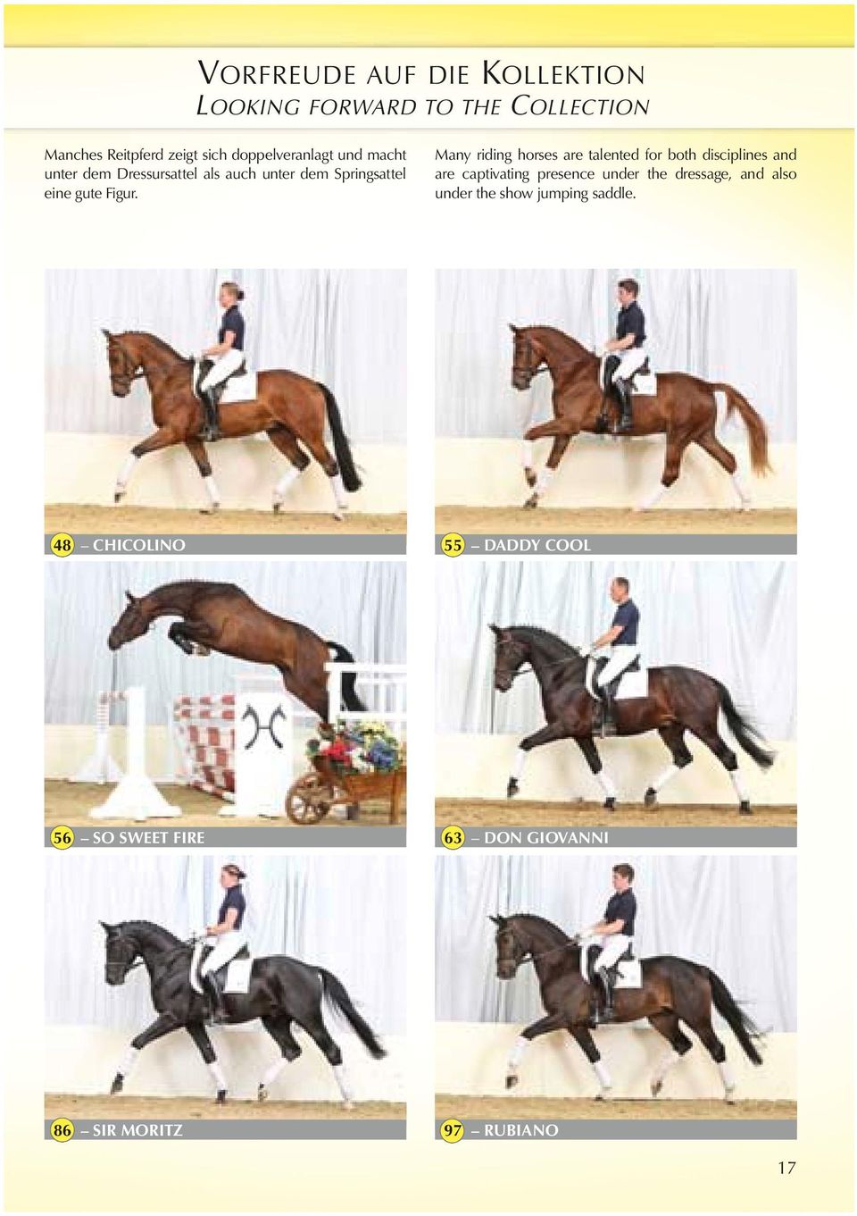 Many riding horses are talented for both discilines and are cativating resence under the dressage, and
