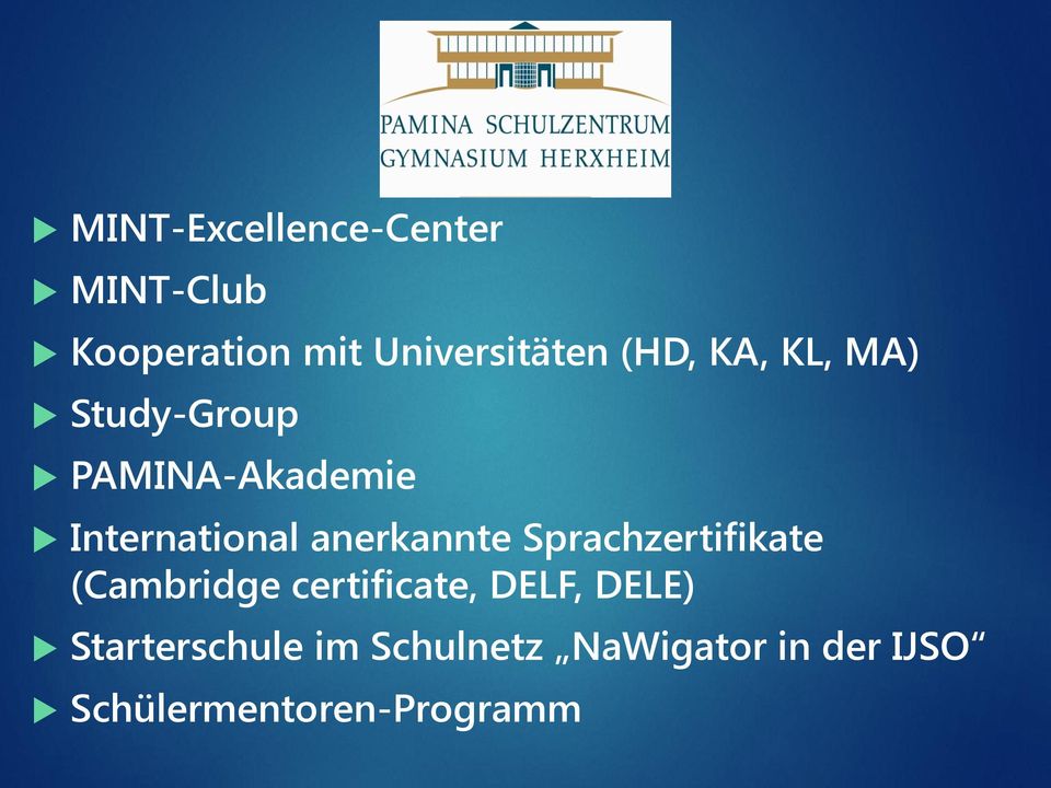 anerkannte Sprachzertifikate (Cambridge certificate, DELF, DELE)