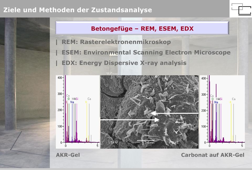 Environmental Scanning Electron Microscope EDX:
