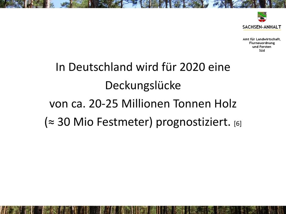 20-25 Millionen Tonnen Holz (