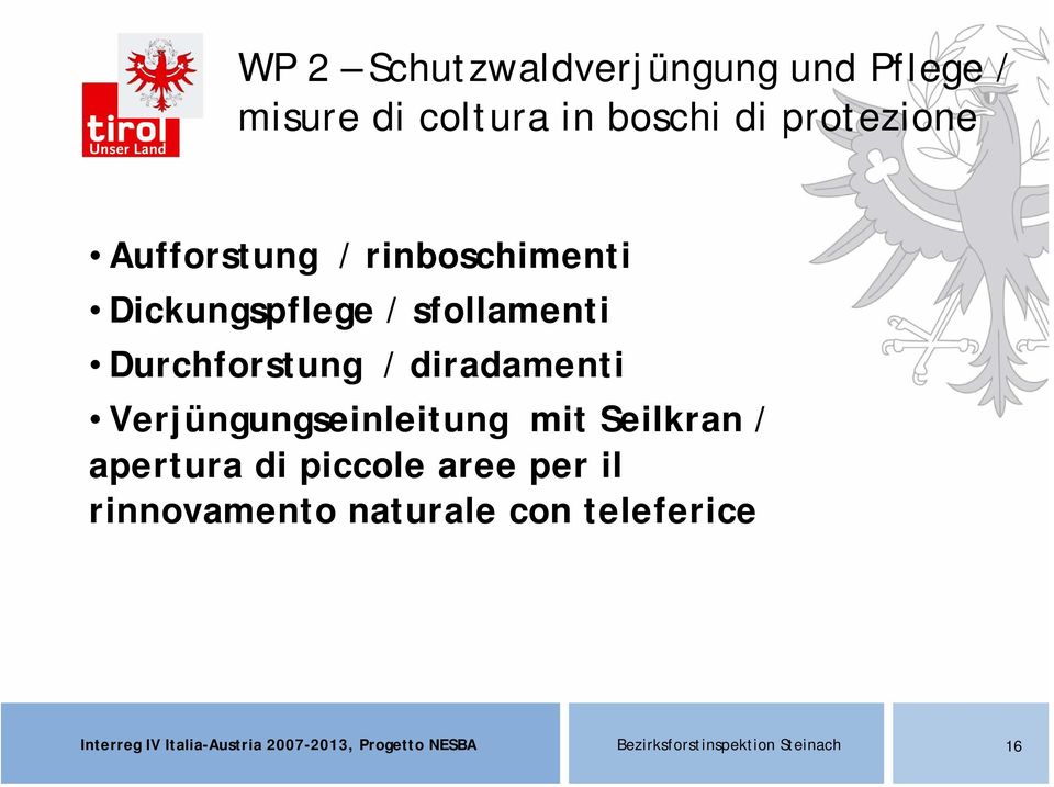 sfollamenti Durchforstung / diradamenti Verjüngungseinleitung mit