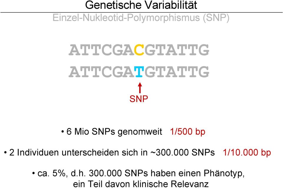 Individuen unterscheiden sich in ~300.000 SNPs 1/10.000 bp ca.