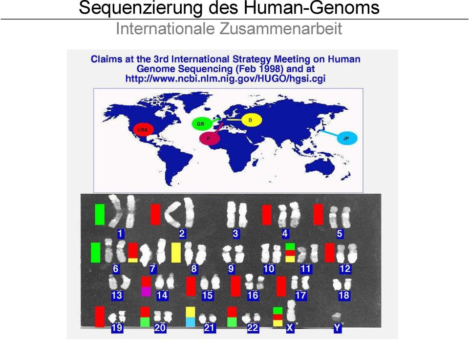 Human-Genoms