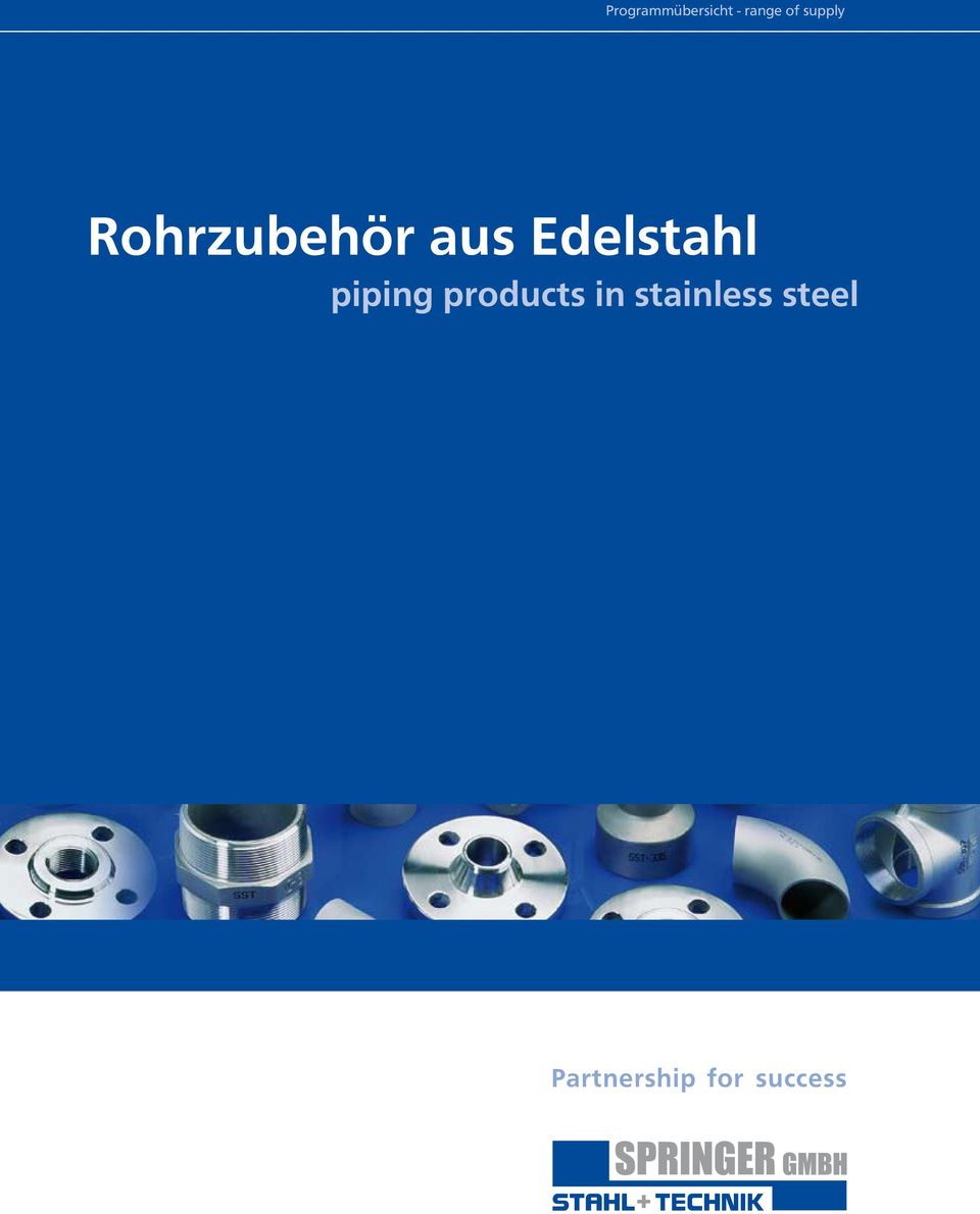 Edelstahl piping products in