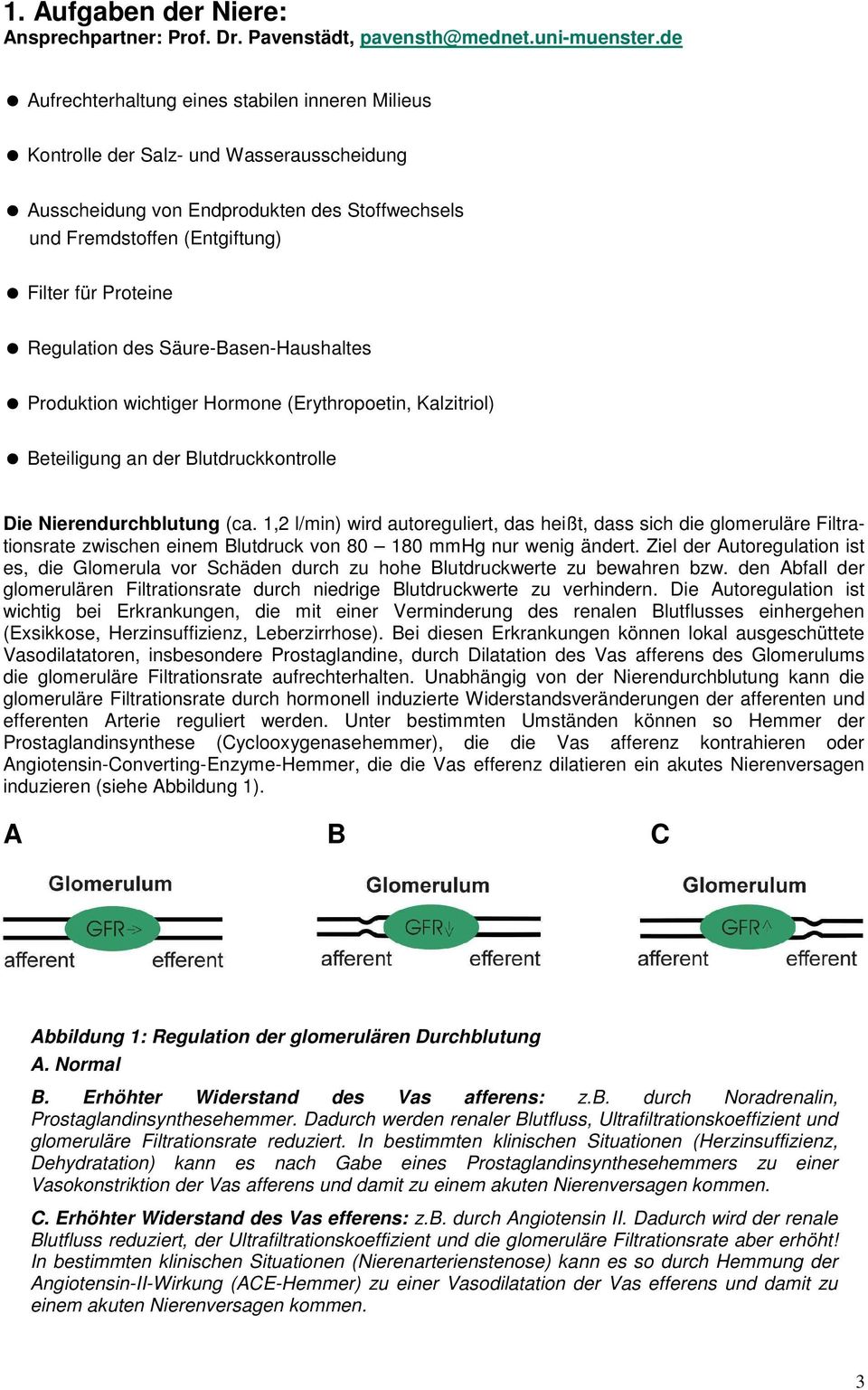 Regulation des Säure-Basen-Haushaltes Produktion wichtiger Hormone (Erythropoetin, Kalzitriol) Beteiligung an der Blutdruckkontrolle Die Nierendurchblutung (ca.