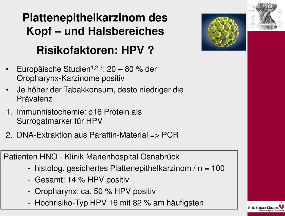 Immunhistochemie: p16 Protein als Surrogatmarker für HPV 2.