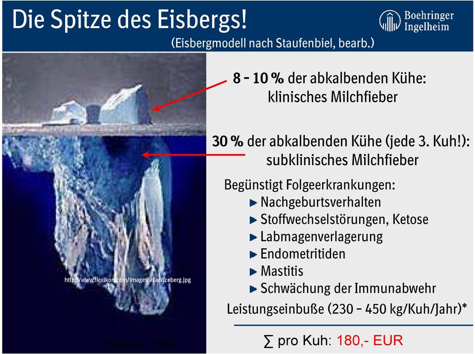 jpg *Beede, 1992 30 % der abkalbenden Kühe (jede 3. Kuh!