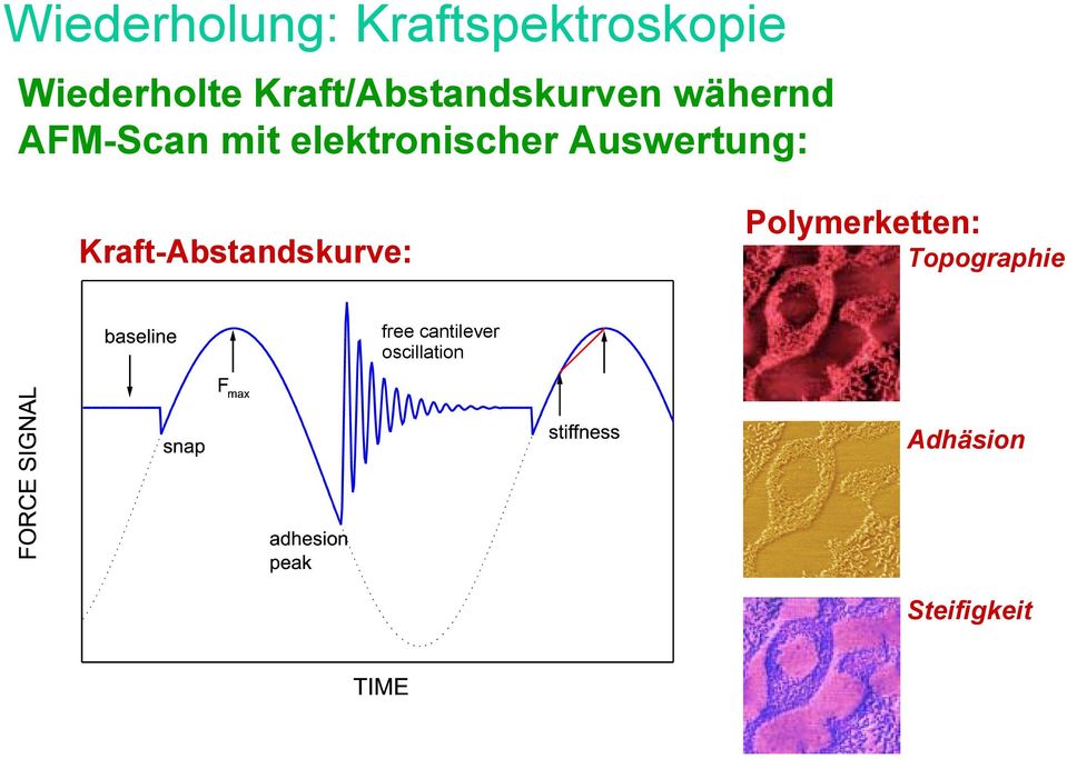 elektronischer Auswertung: Kraft-Abstandskurve: