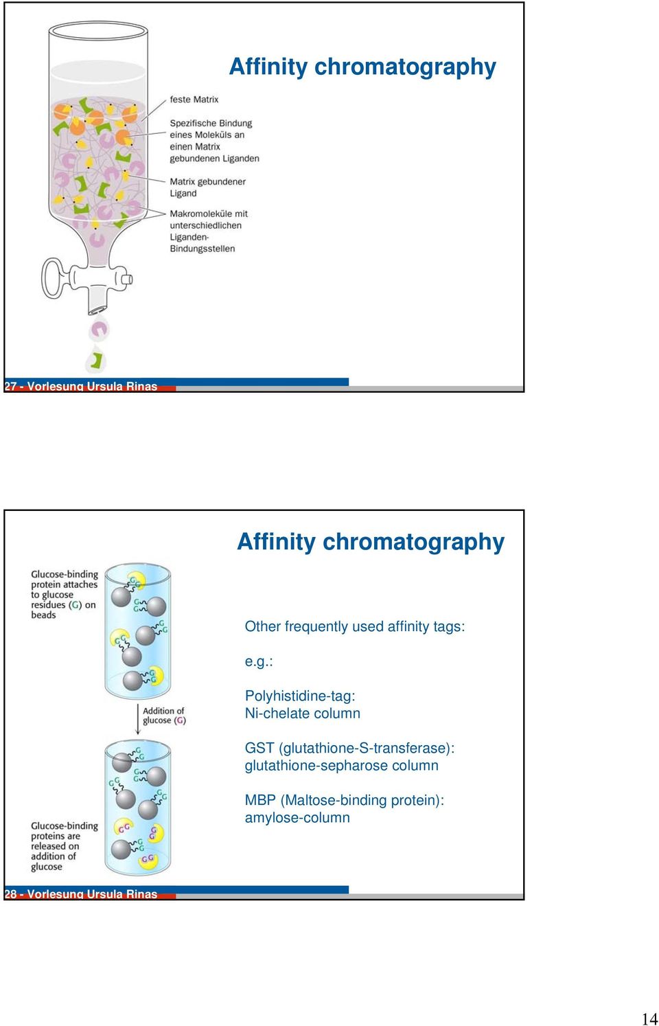 aphy Other frequently used affinity tags