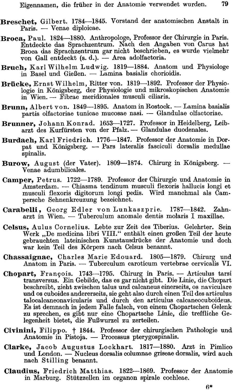 - Area adolfactoria. Bruch, Karl Wilhelm Ludwig. 1819-1884. Anatom und Physiologe in Basel und Gießen. - Lamina basialis chorioidis. Brücke, Ernst Wilhelm, Ritter von. 1819-1892.