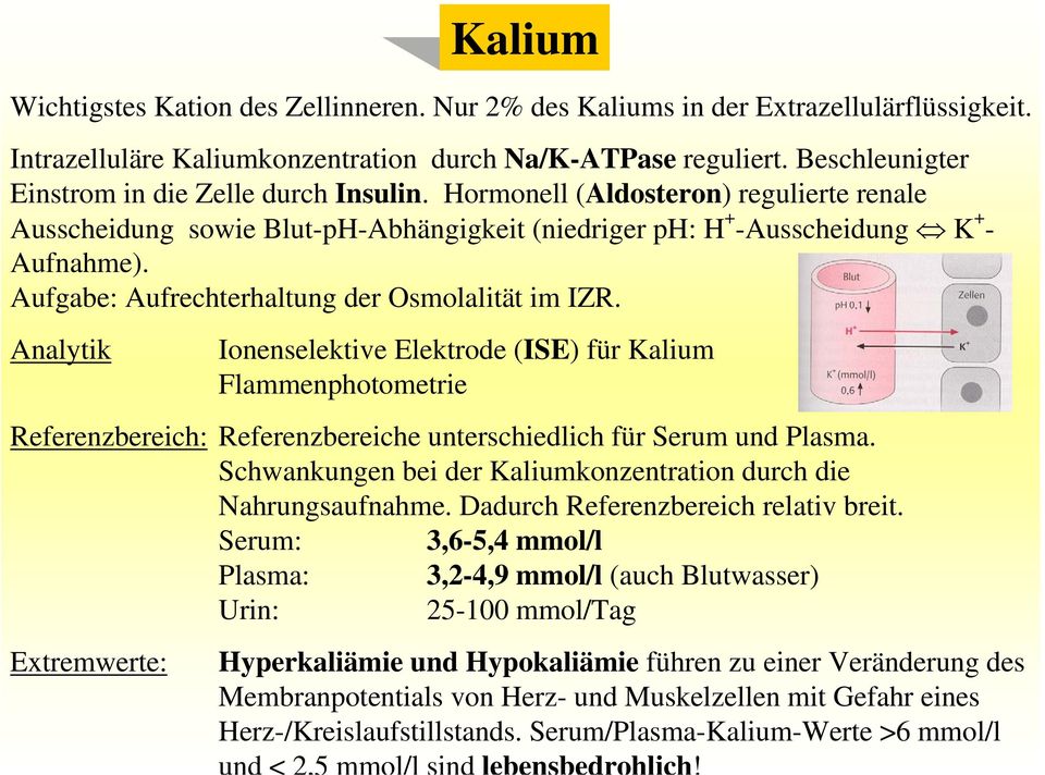 Aufgabe: Aufrechterhaltung der Osmolalität im IZR. Analytik Ionenselektive Elektrode (ISE) für Kalium Flammenphotometrie Referenzbereich: Referenzbereiche unterschiedlich für Serum und Plasma.