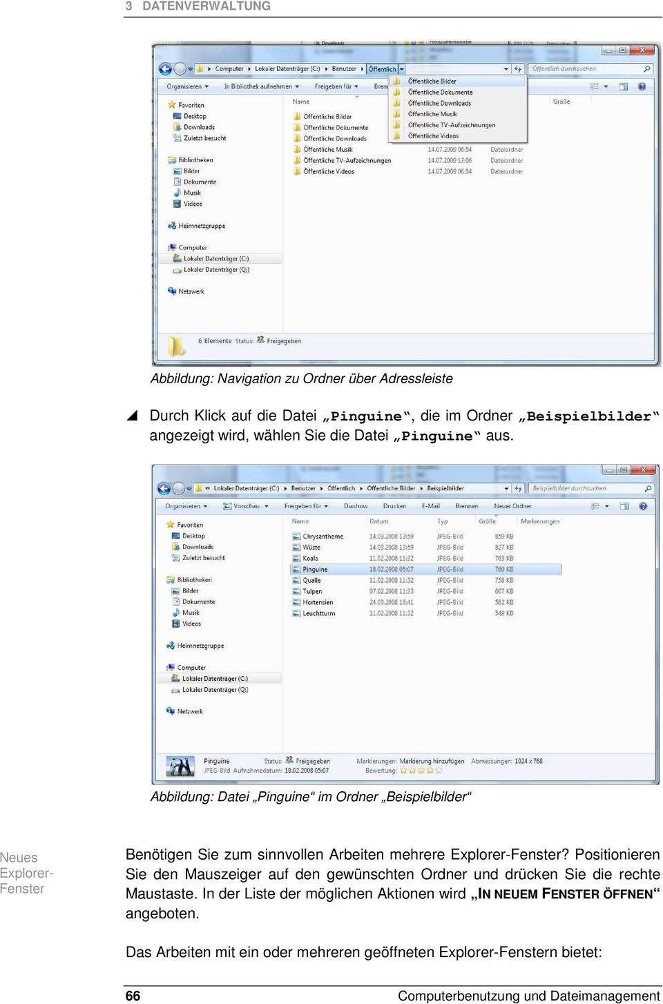 Abbildung: Datei Pinguine im Ordner Beispielbilder Neues Explorer- Fenster Benötigen Sie zum sinnvollen Arbeiten mehrere Explorer-Fenster?