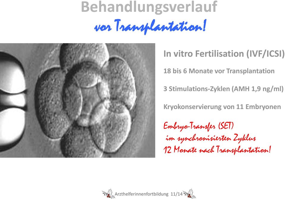 Transplantation 3 Stimulations-Zyklen (AMH 1,9 ng/ml)