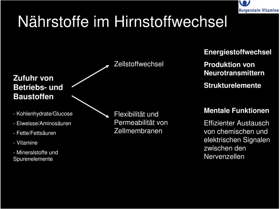 Flexibilität und Permeabilität von Zellmembranen Energiestoffwechsel Produktion von Neurotransmittern