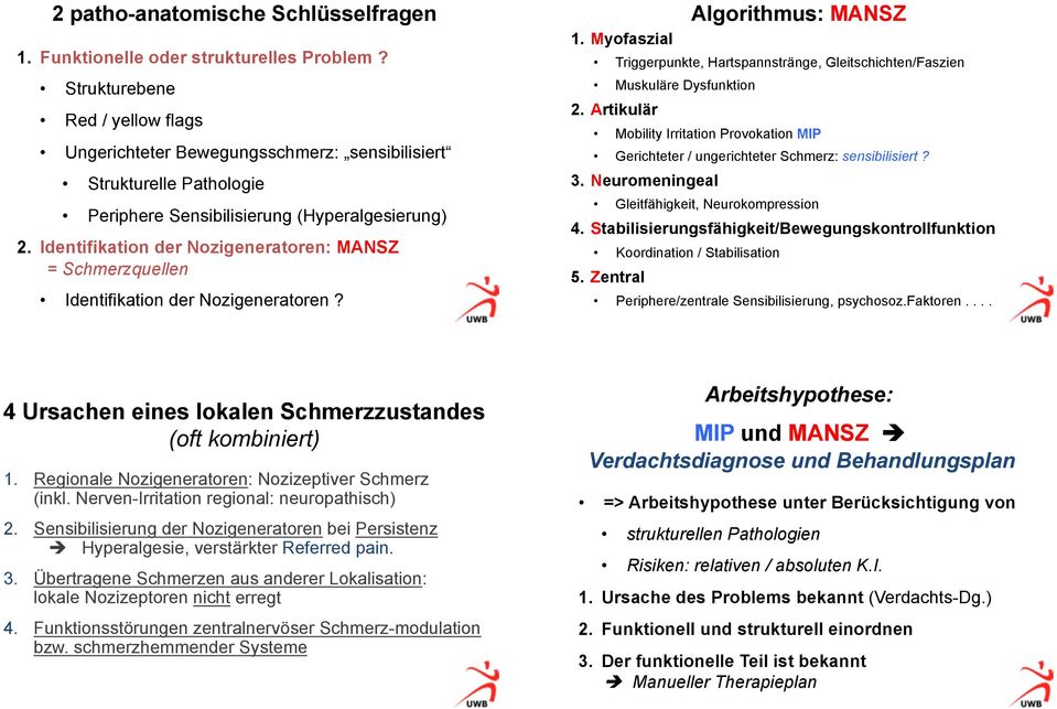 Identifikation der Nozigeneratoren: MANSZ = Schmerzquellen Identifikation der Nozigeneratoren? Algorithmus: MANSZ 1.