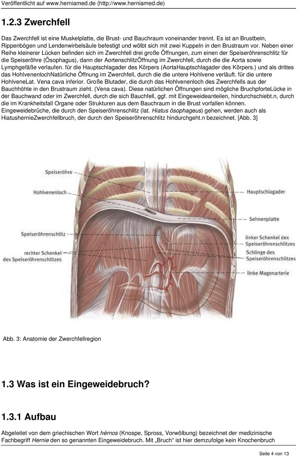 Neben einer Reihe kleinerer Lücken befinden sich im Zwerchfell drei große Öffnungen, zum einen der Speiseröhrenschlitz für die Speiseröhre (Ösophagus), dann der AortenschlitzÖffnung im Zwerchfell,