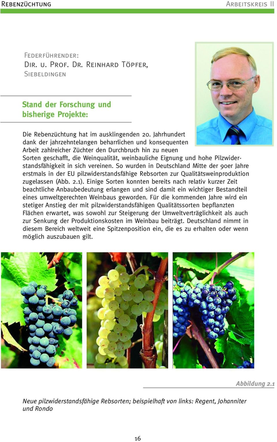 Pilzwiderstandsfähigkeit in sich vereinen. So wurden in Deutschland Mitte der 90er Jahre erstmals in der EU pilzwiderstandsfähige Rebsorten zur Qualitätsweinproduktion zugelassen (Abb. 2.1).