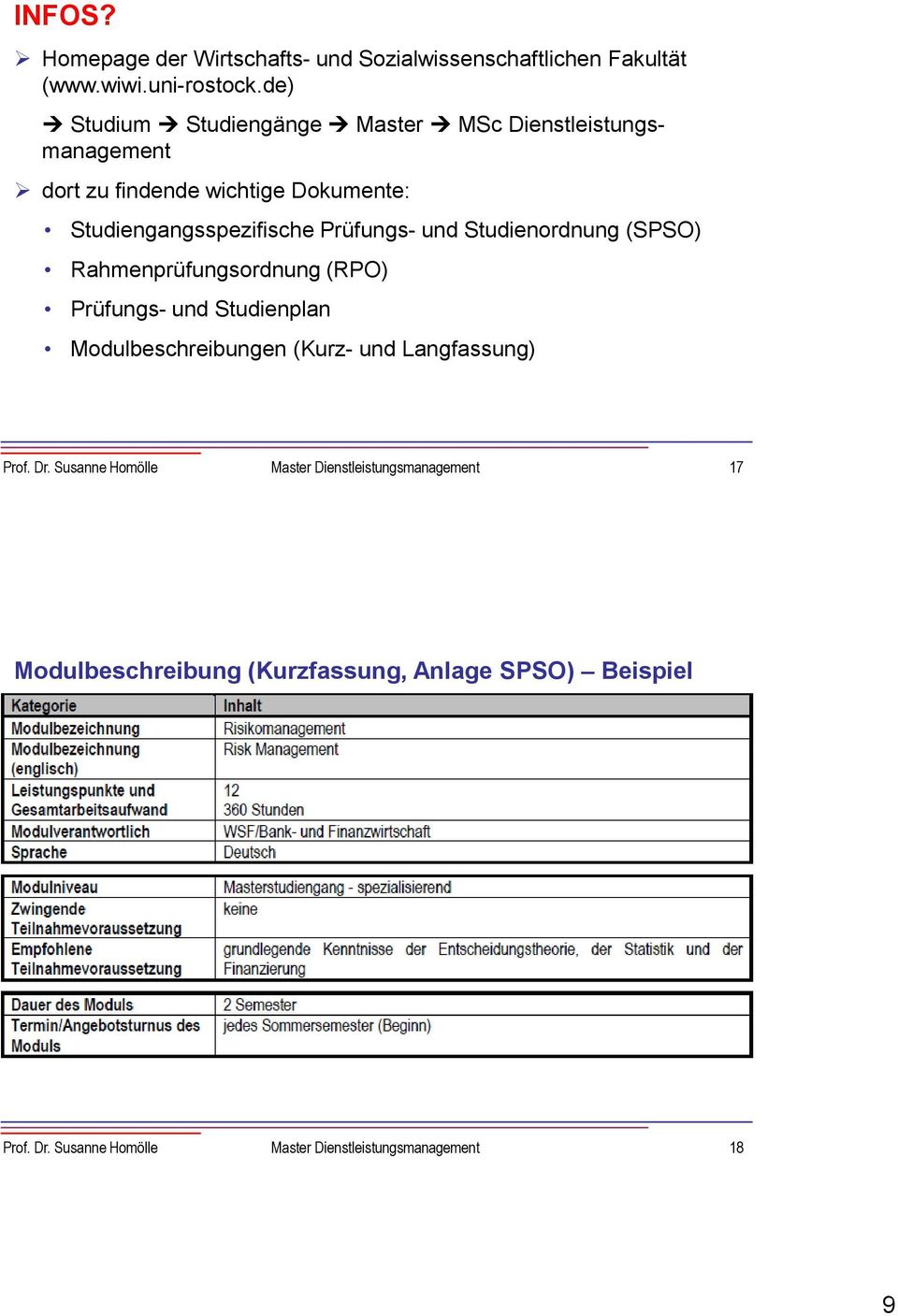 und Studienordnung (SPSO) Rahmenprüfungsordnung (RPO) Prüfungs- und Studienplan Modulbeschreibungen (Kurz- und Langfassung) Prof. Dr.