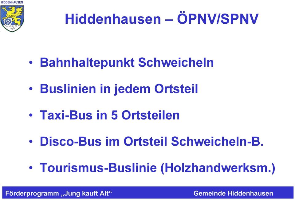 Taxi-Bus in 5 Ortsteilen Disco-Bus im