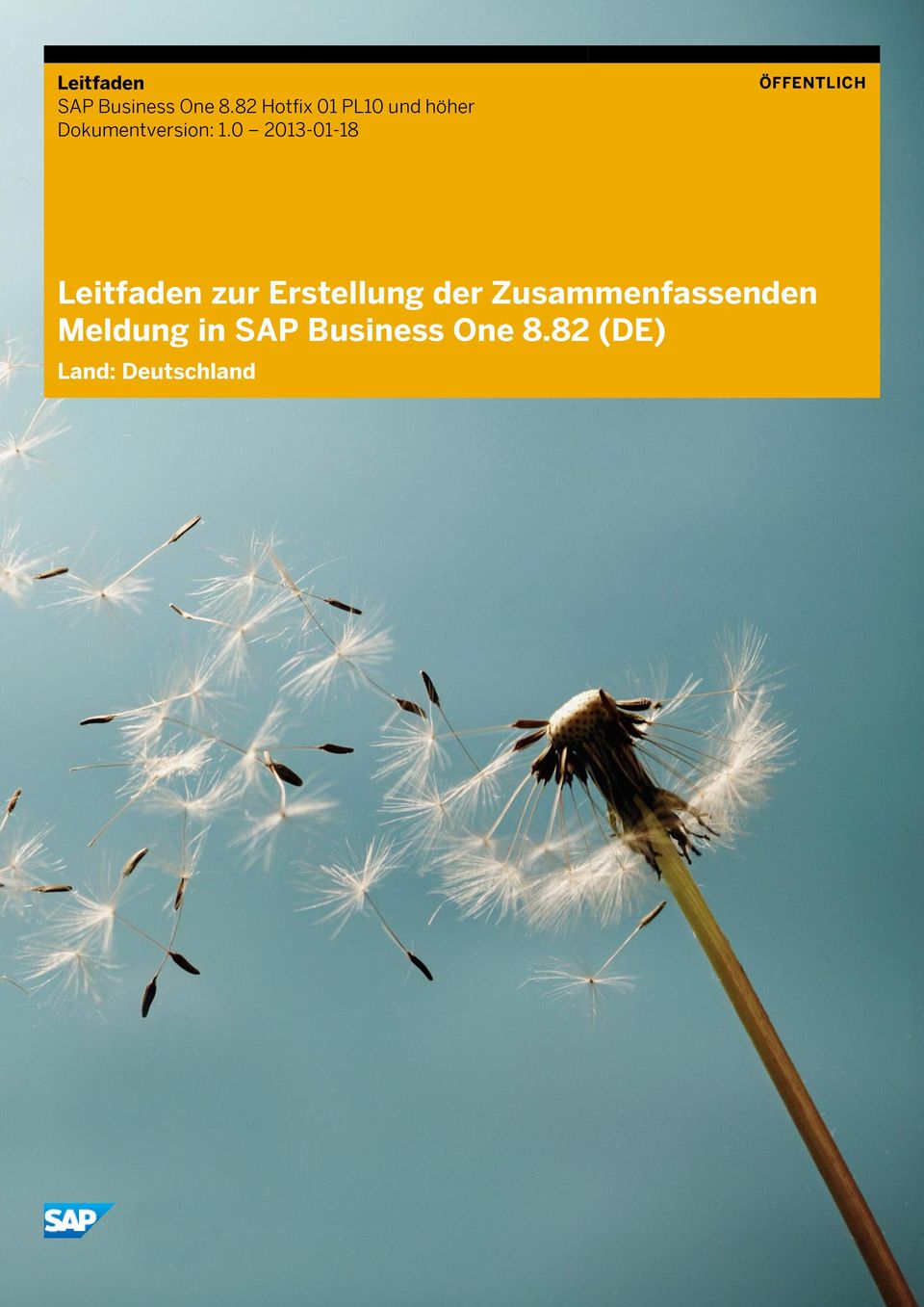 0 2013-01-18 Leitfaden zur Erstellung der