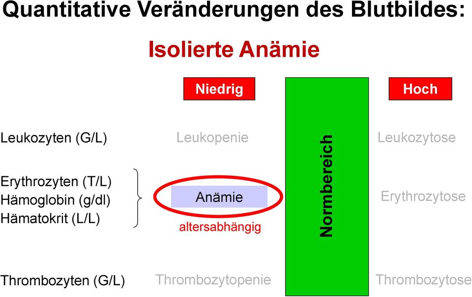 Erythrozyten (T/L) Hämoglobin (g/dl) Hämatokrit (L/L) Anämie