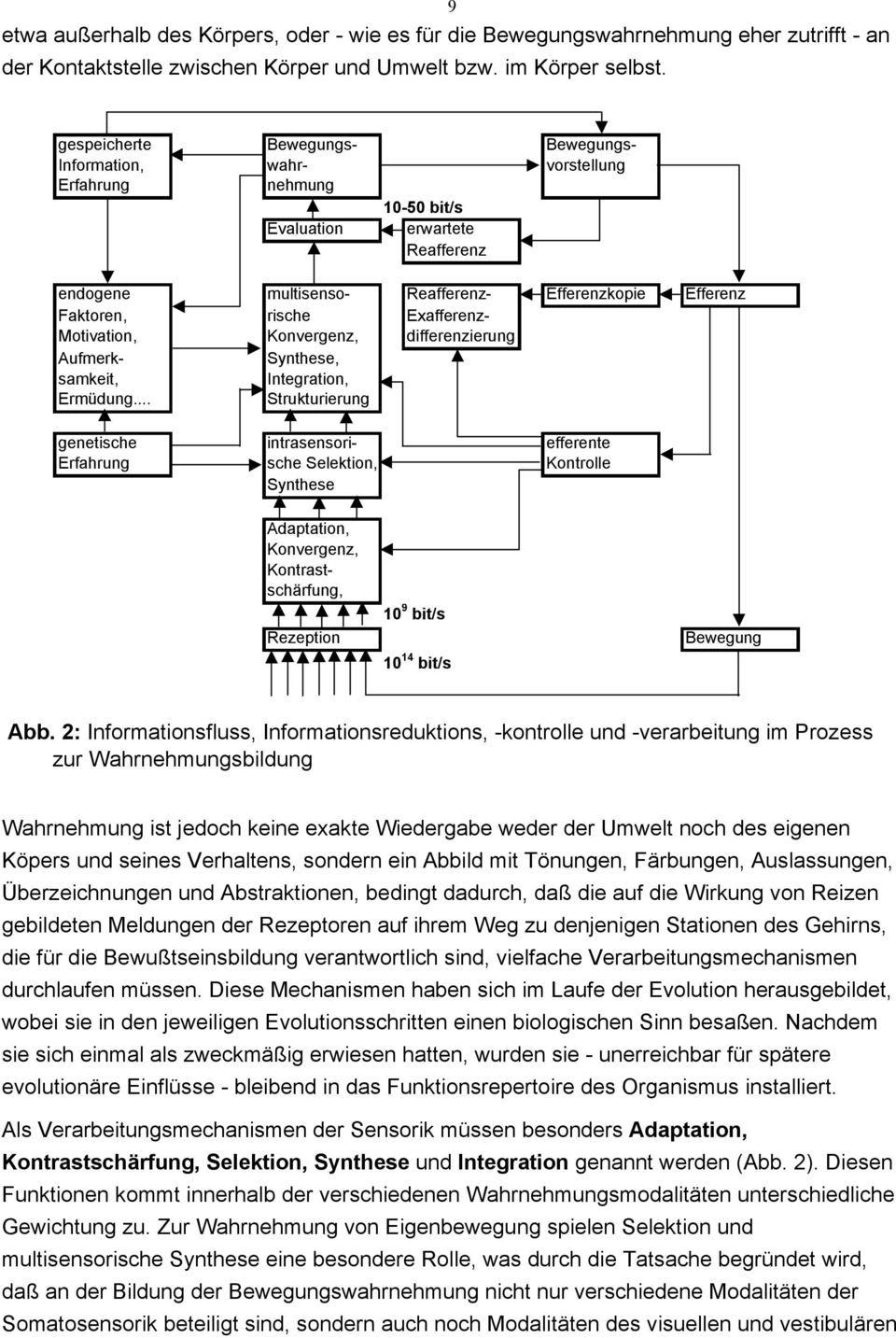 rische Exafferenz- Motivation, Konvergenz, differenzierung Aufmerk- Synthese, samkeit, Integration, Ermüdung.