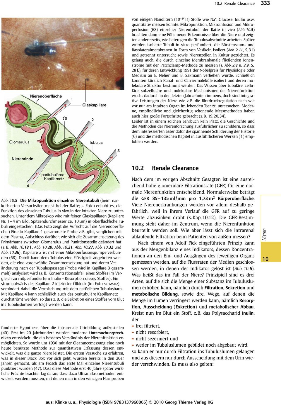 .5) brachten dann eine Fülle neuer Erkenntnisse über die Niere und zeigten andererseits, wie heterogen die Tubulusabschnitte arbeiten.