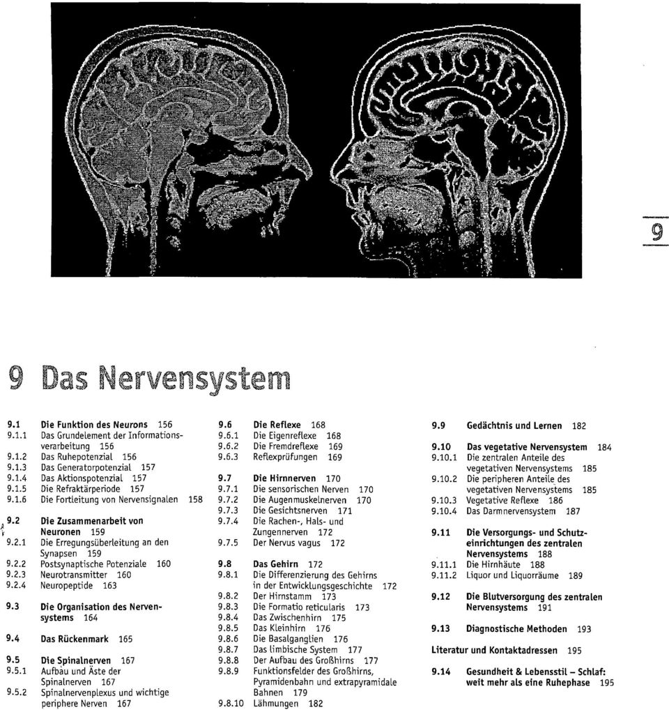 2.4 Neuropeptide 163 9.3 Die Organisation des Nervensystems 164 9.4 9.5 