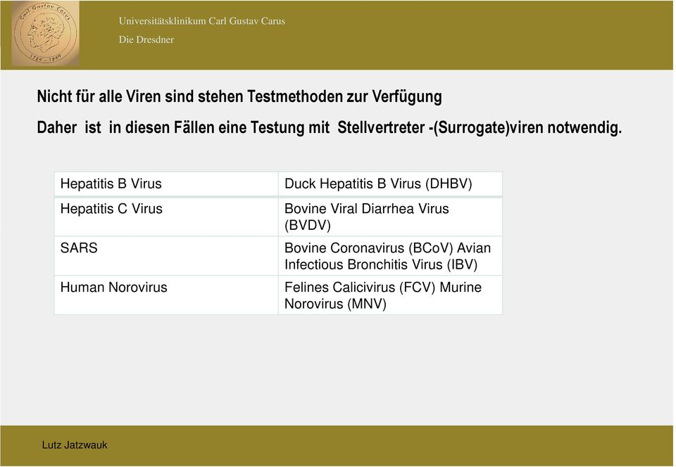 Hepatitis B Virus Hepatitis C Virus SARS Human Norovirus Duck Hepatitis B Virus (DHBV) Bovine