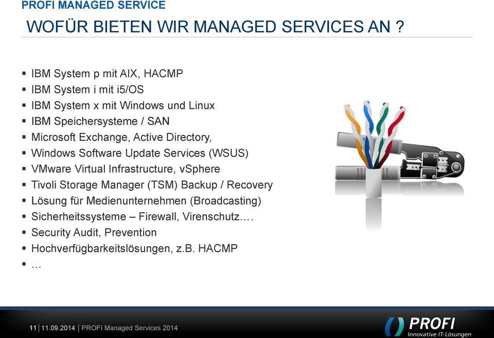 Exchange, Active Directory, Windows Software Update Services (WSUS) VMware Virtual Infrastructure, vsphere Tivoli Storage