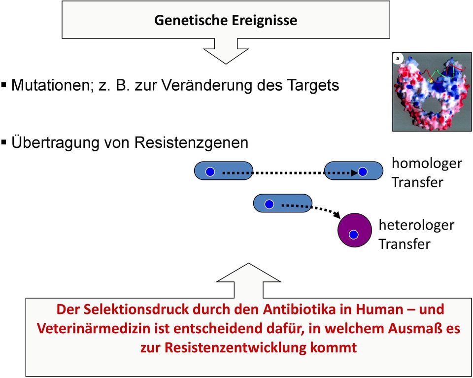 Transfer heterologer Transfer Der Selektionsdruck durch den Antibiotika