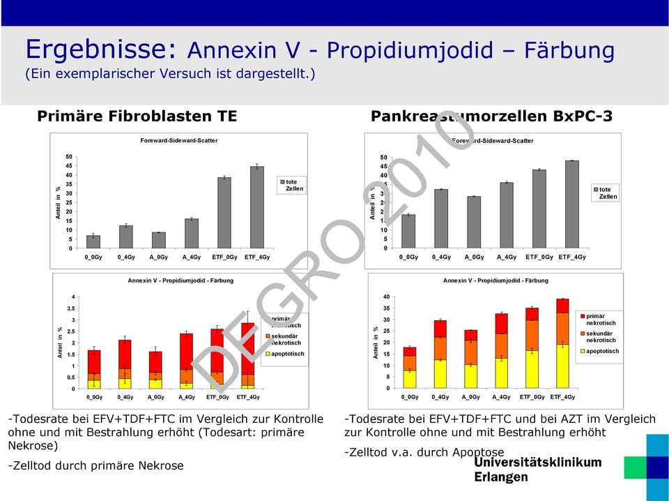 - Propidiumjodid - Färbung Annexin V - Propidiumjodid - Färbung 4 4 3. 3 2. 2 1. primär sekundär apoptotisch 3 3 2 2 1 primär sekundär apoptotisch 1 1.