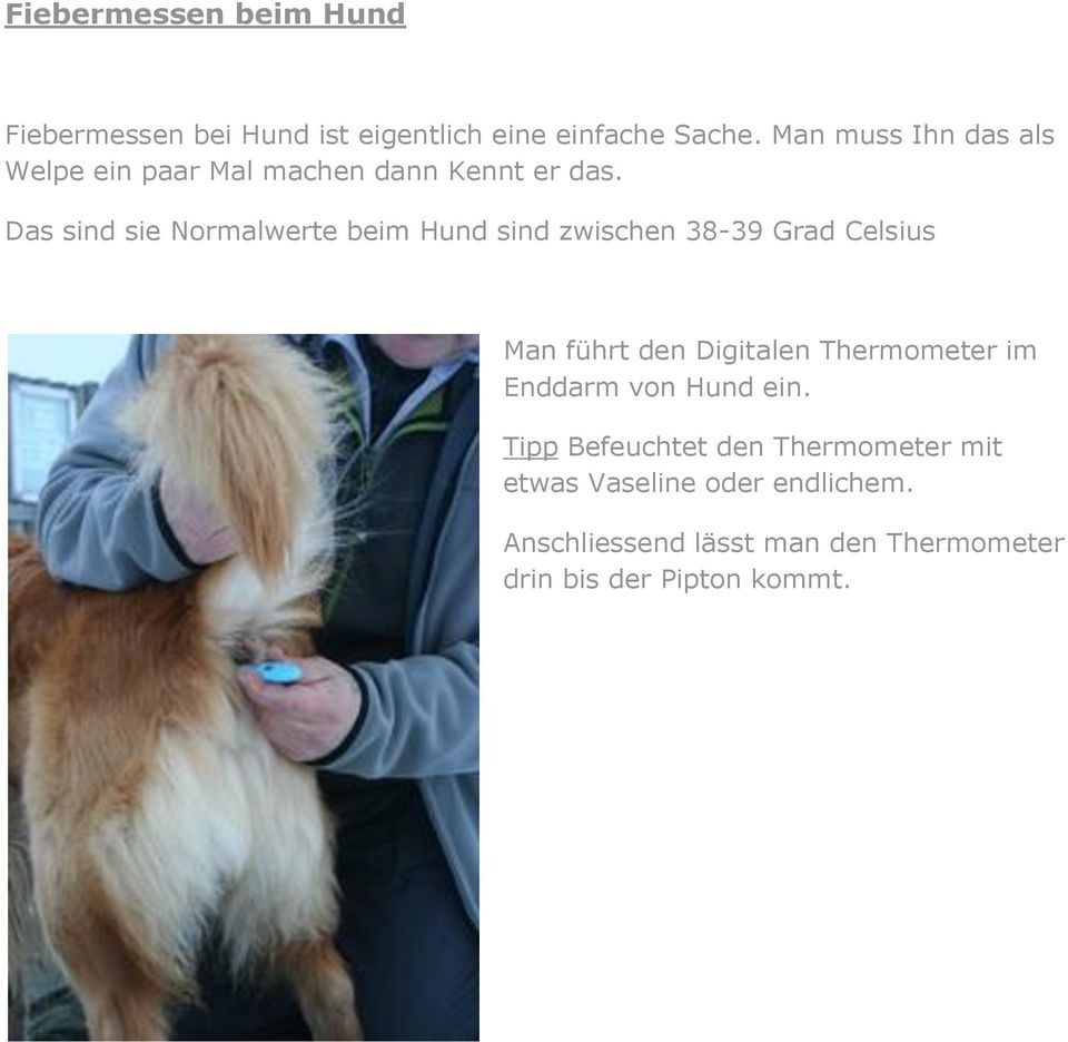 Das sind sie Normalwerte beim Hund sind zwischen 38-39 Grad Celsius Man führt den Digitalen