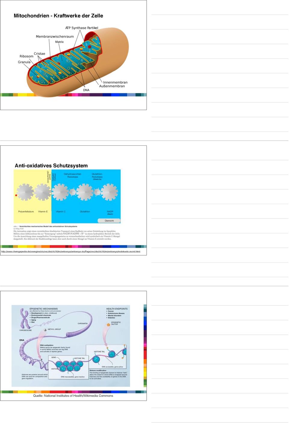 de/vsengine/vlu/vsc/de/ch/16/im/antioxsys/antioxsys.