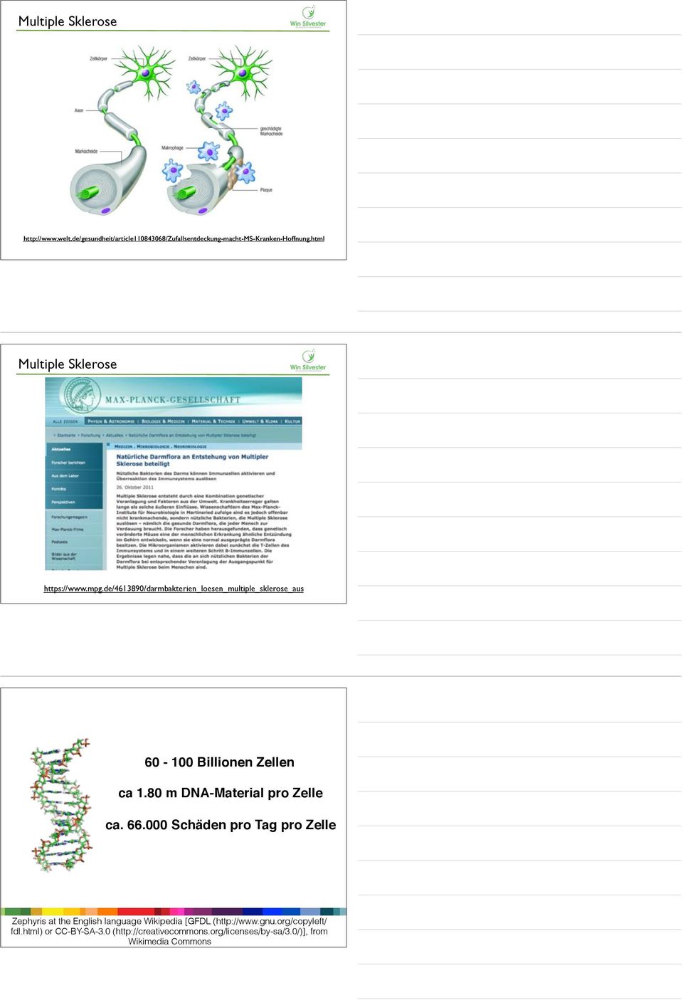 de/4613890/darmbakterien_loesen_multiple_sklerose_aus 60-100 Billionen Zellen ca 1.80 m DNA-Material pro Zelle ca. 66.