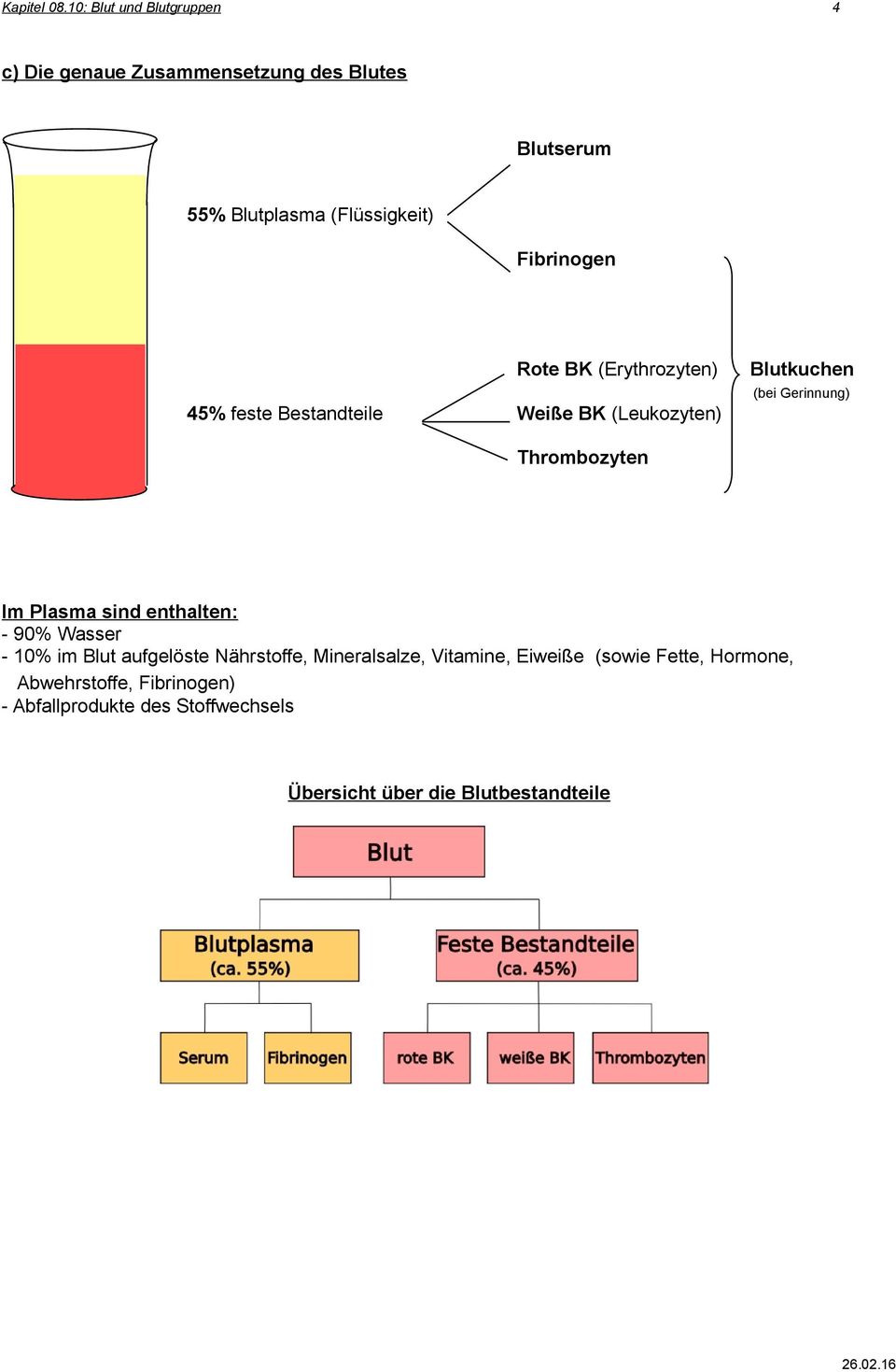 Fibrinogen Rote BK (Erythrozyten) 45% feste Bestandteile Weiße BK (Leukozyten) Blutkuchen (bei Gerinnung)