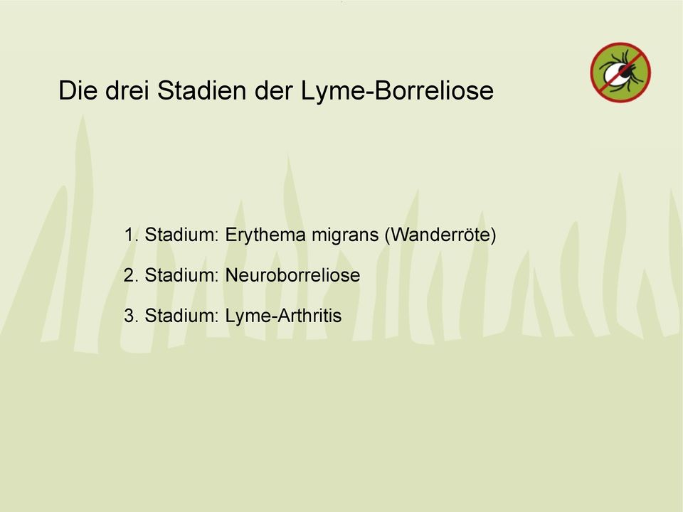 Stadium: Erythema migrans