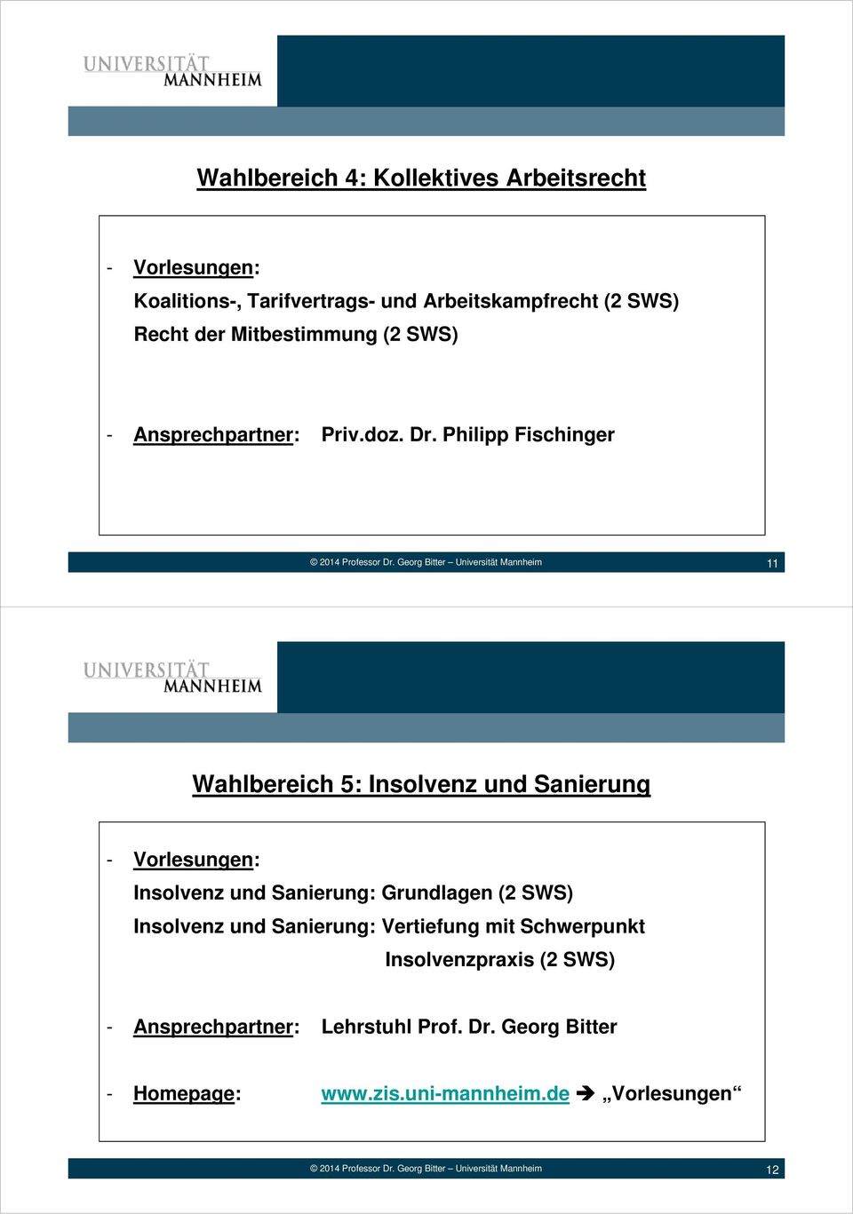 Philipp Fischinger 11 Wahlbereich 5: Insolvenz und Sanierung Insolvenz und Sanierung: Grundlagen (2 SWS)