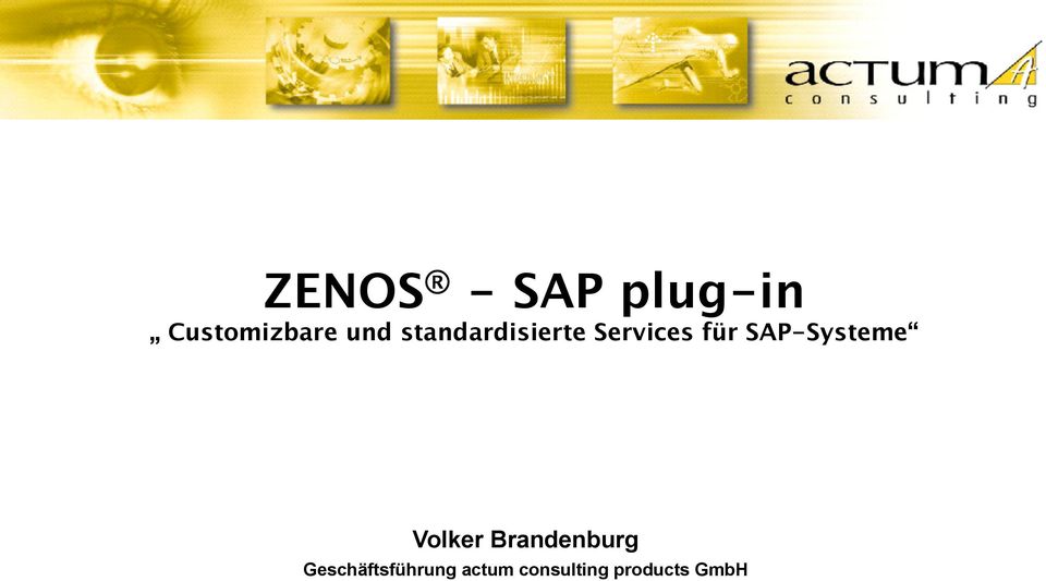 SAP-Systeme Volker Brandenburg
