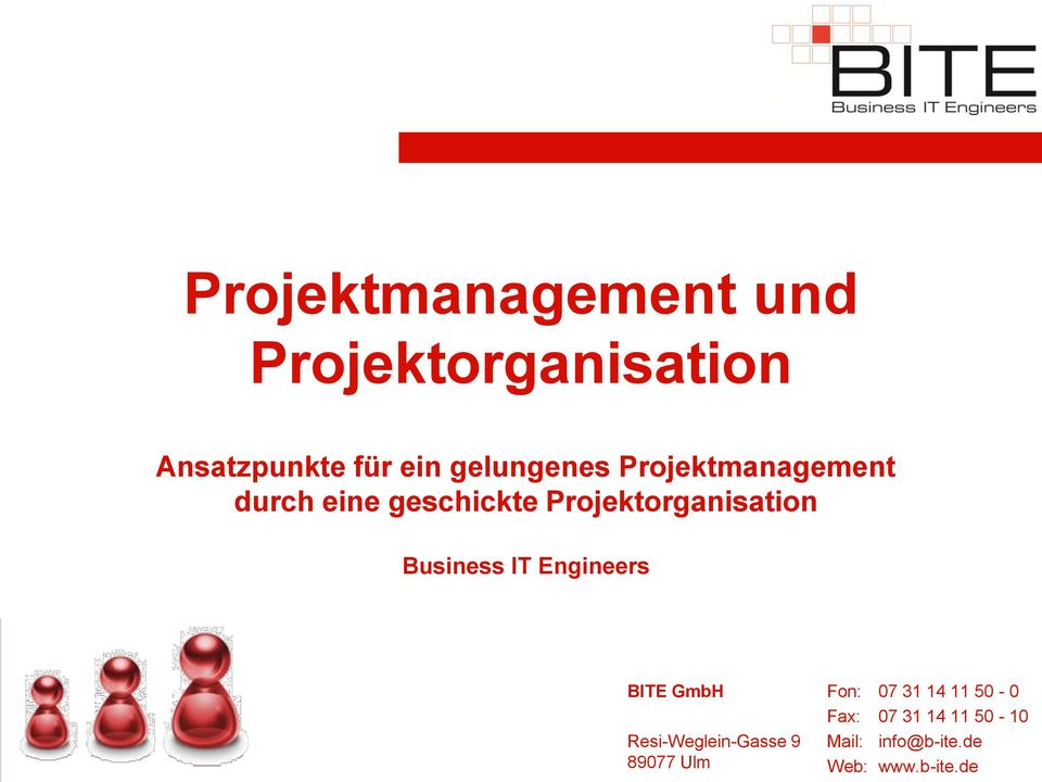 Projektorganisation Business IT Engineers BITE GmbH