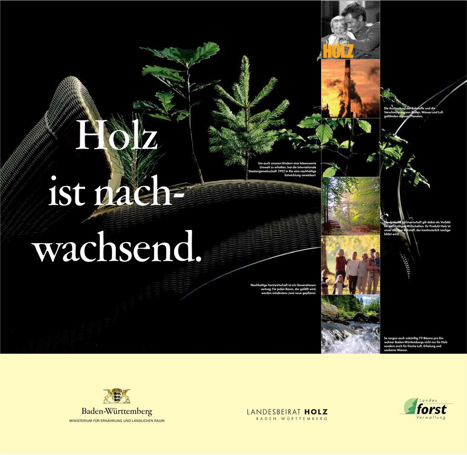 Die deutsche Forstwirtschaft gilt dabei als Vorbild für nachhaltiges Wirtschaften. Ihr Produkt Holz ist unser einziger Rohstoff, der kontinuierlich nachgebildet wird.