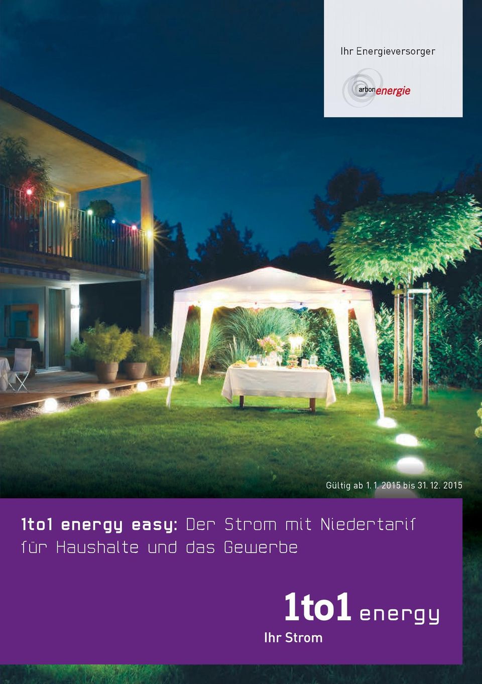 2015 1to1 energy easy: Der Strom