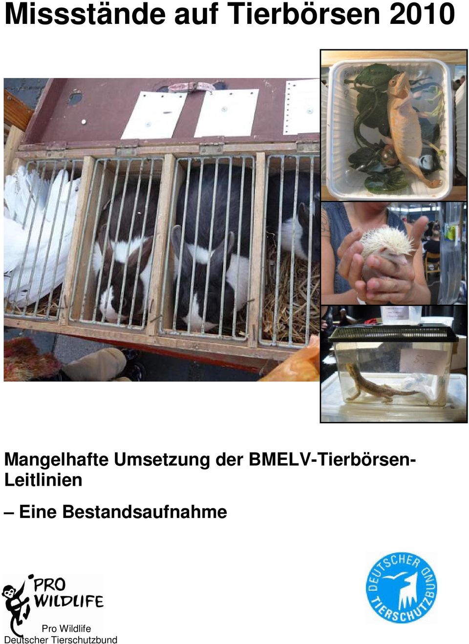 BMELV-Tierbörsen- Leitlinien Eine
