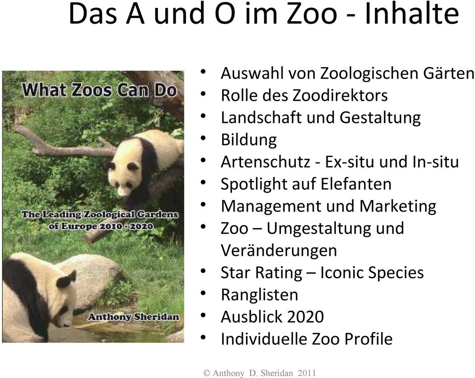 In-situ Spotlight auf Elefanten Management und Marketing Zoo Umgestaltung und
