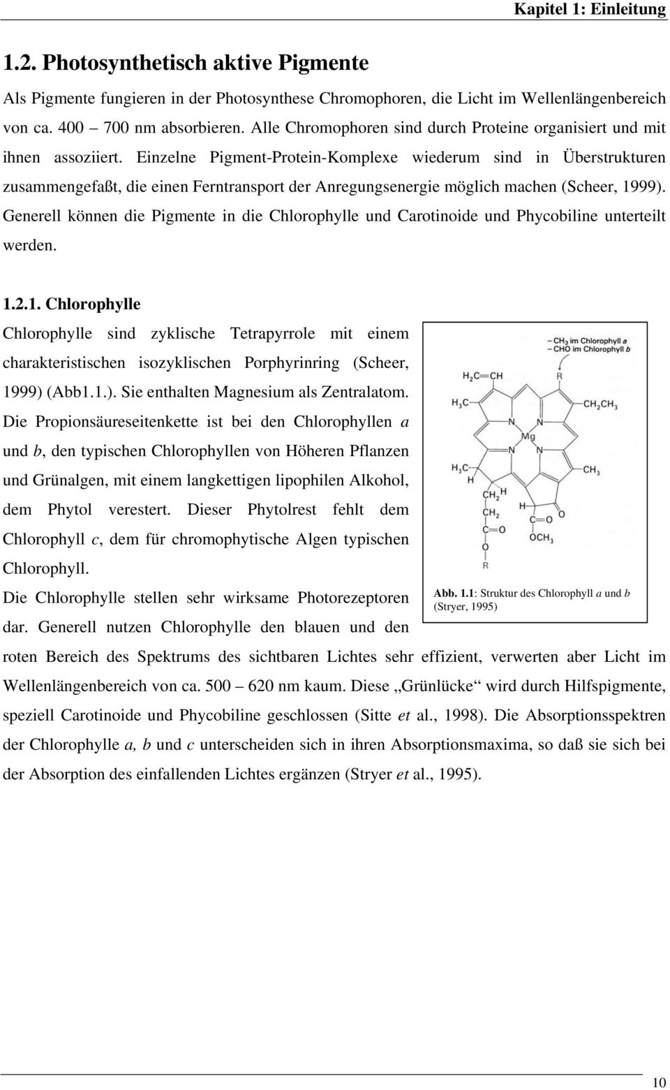 Einzelne Pigment-Protein-Komplexe wiederum sind in Überstrukturen zusammengefaßt, die einen Ferntransport der Anregungsenergie möglich machen (Scheer, 1999).