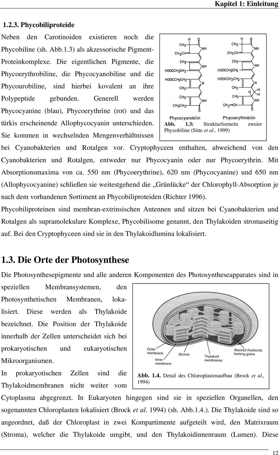 Generell werden Phycocyanine (blau), Phycoerythrine (rot) und das türkis erscheinende Allophycocyanin unterschieden. Abb. 1.3: Strukturformeln zweier Phycobiline (Sitte et al.